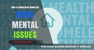 Empowering Support: Strategies for Assisting Homeless Individuals with Mental Health Challenges