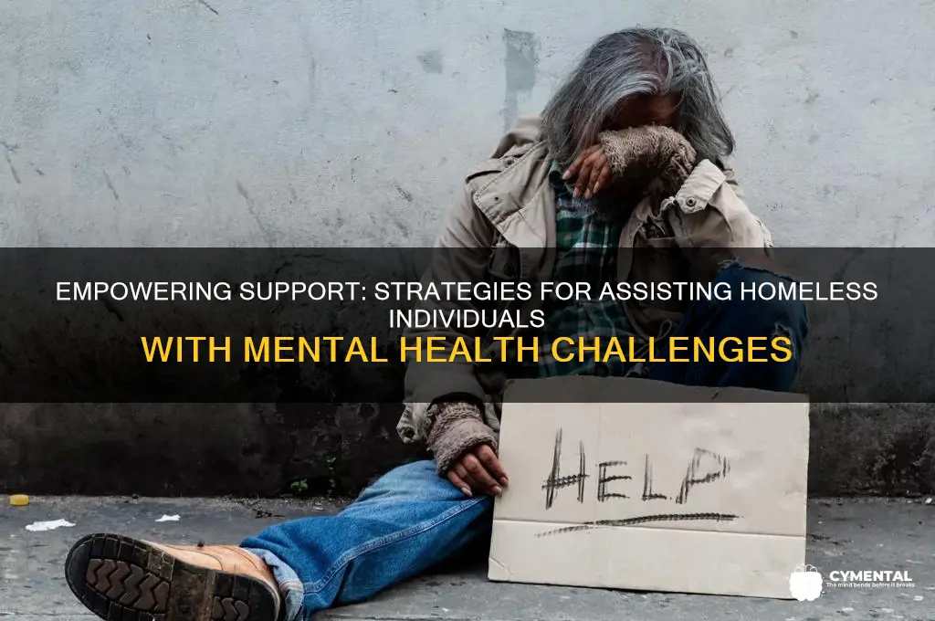 how to work with homeless with mental issues