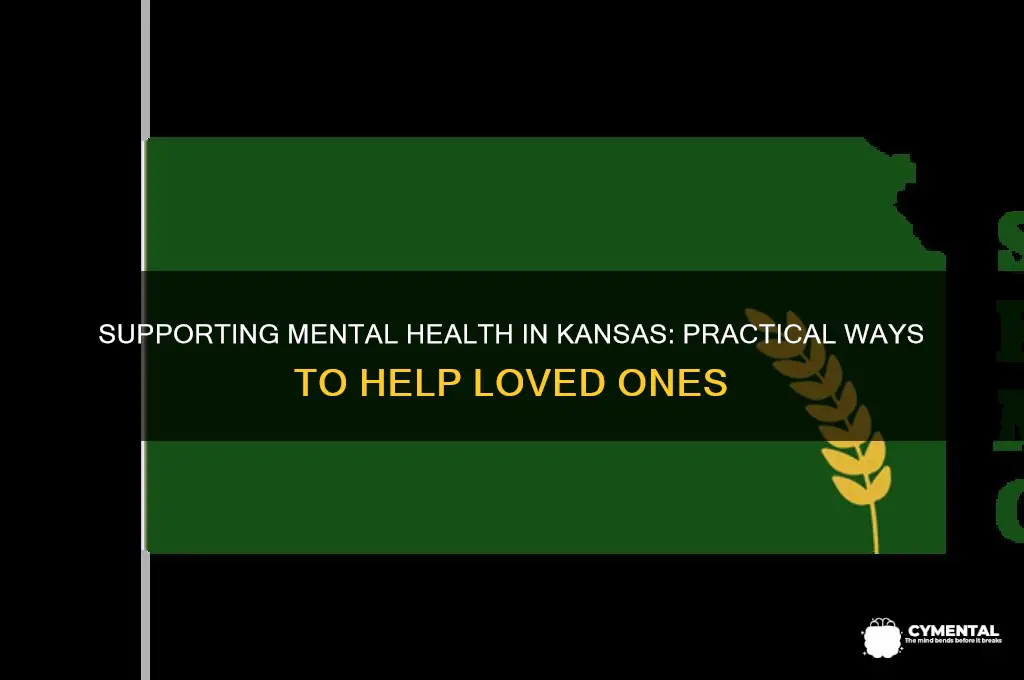 how tohelp someone with mental issues in kansas