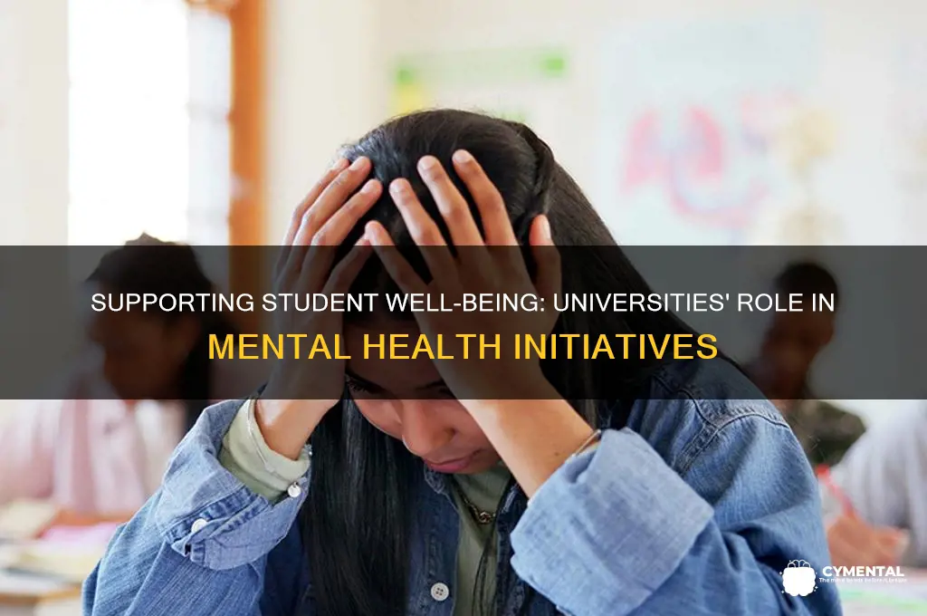 how universities can help mental health