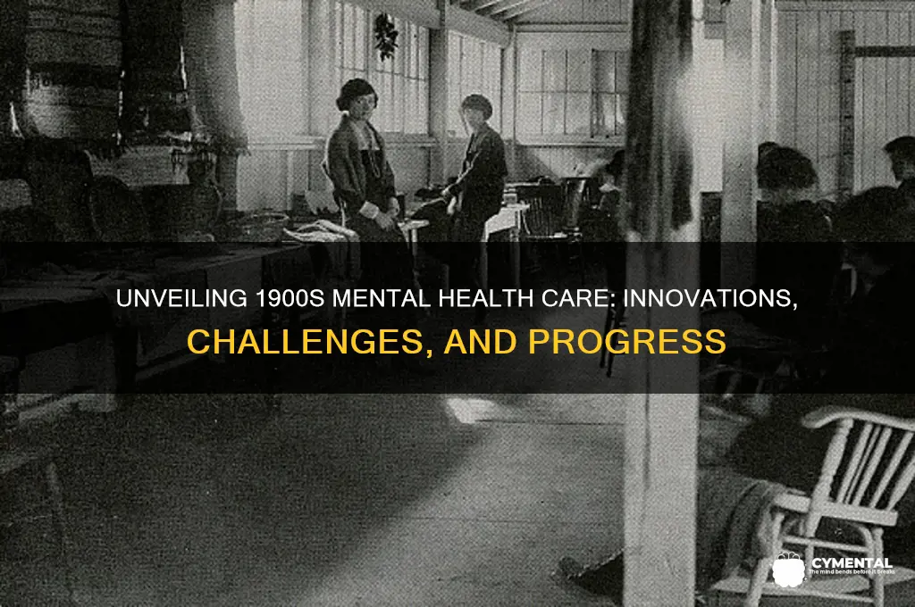 how was mental health helped during the 1900s
