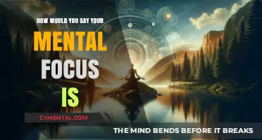 Exploring Mental Focus: A Journey to Clarity and Concentration