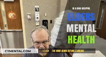 Dogs and Elderly Mental Health: Unlocking Emotional Support and Joy