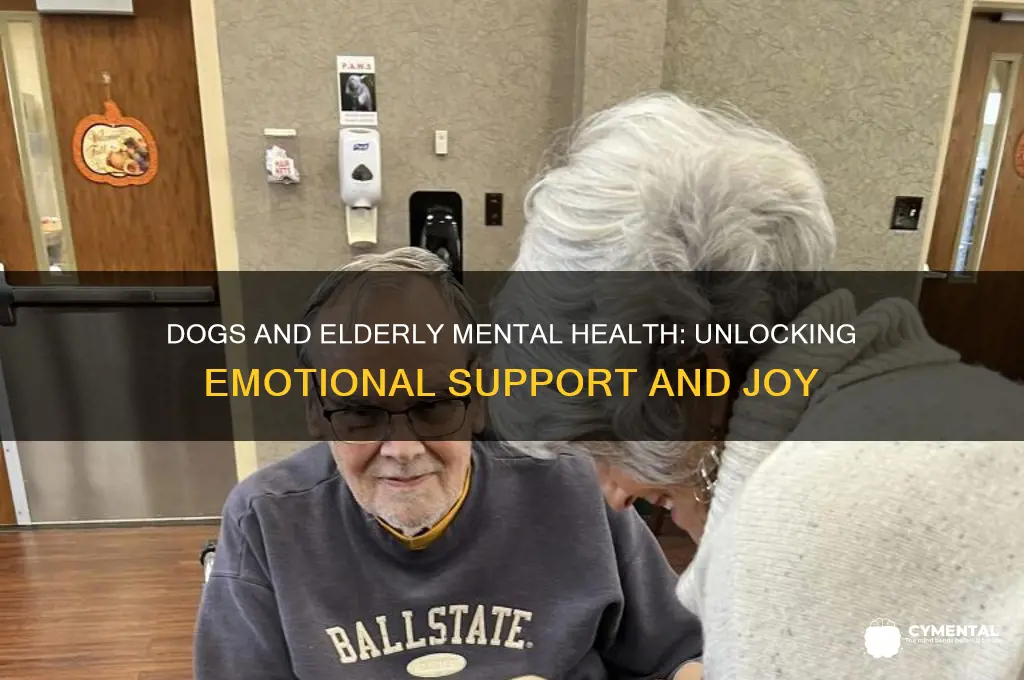 is a dog helpful elders mental health
