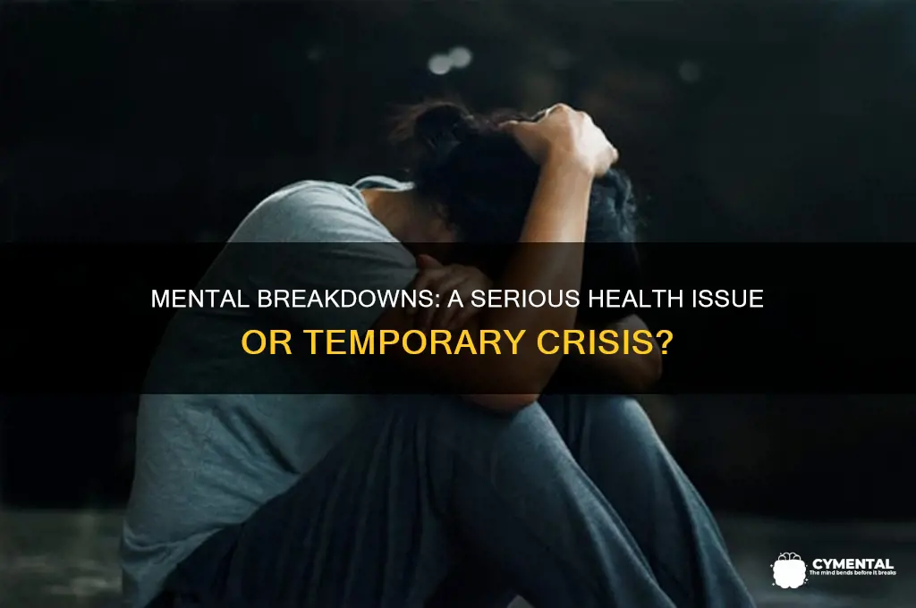 is a mental breakdown a health issue