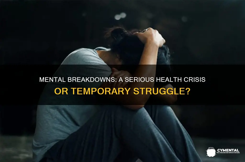 is a mental breakdown a seriuos health issue