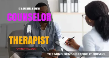Understanding the Difference: Mental Health Counselors vs. Therapists
