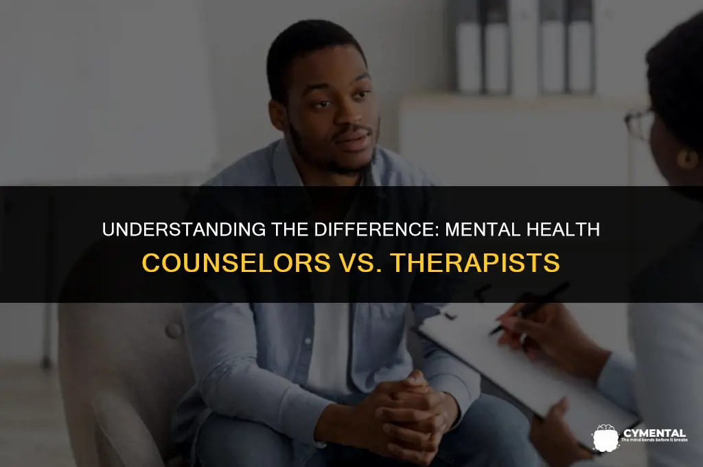 is a mental health counselor a therapist