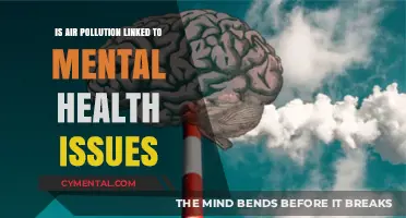 Breathing Trouble: Uncovering Air Pollution's Impact on Mental Well-Being