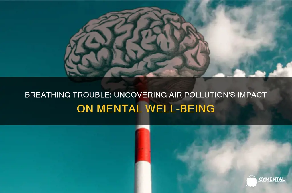 is air pollution linked to mental health issues