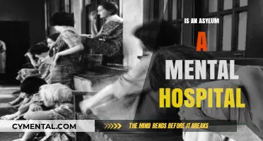 Understanding Asylum: Dispelling Myths About Mental Health Facilities