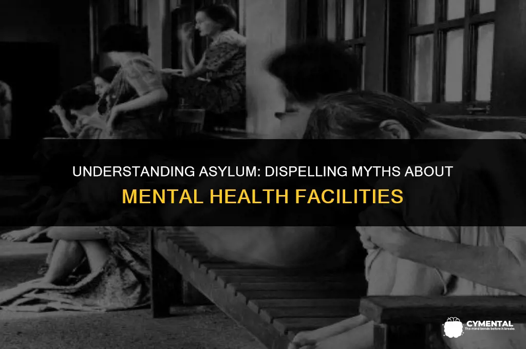 is an asylum a mental hospital