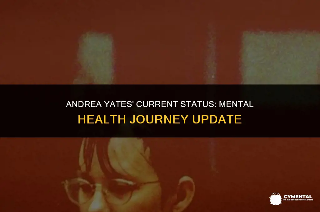 is andrea yates still in a mental hospital