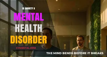 Understanding Anxiety: Is It a Mental Health Disorder?