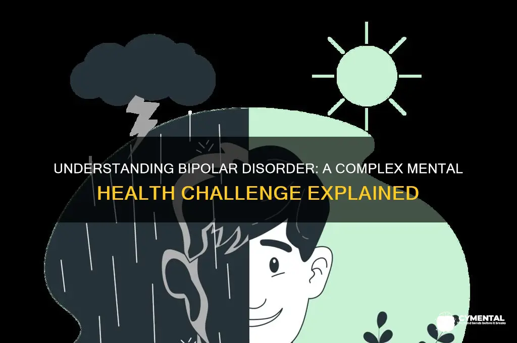 is bipolar a mental health issue