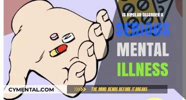 Understanding Bipolar Disorder: Debunking Myths About This Serious Mental Illness