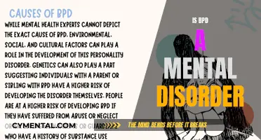Understanding BPD: Is It a Mental Disorder?
