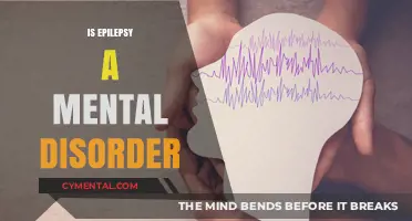Understanding Epilepsy: Dispelling Myths About Its Classification
