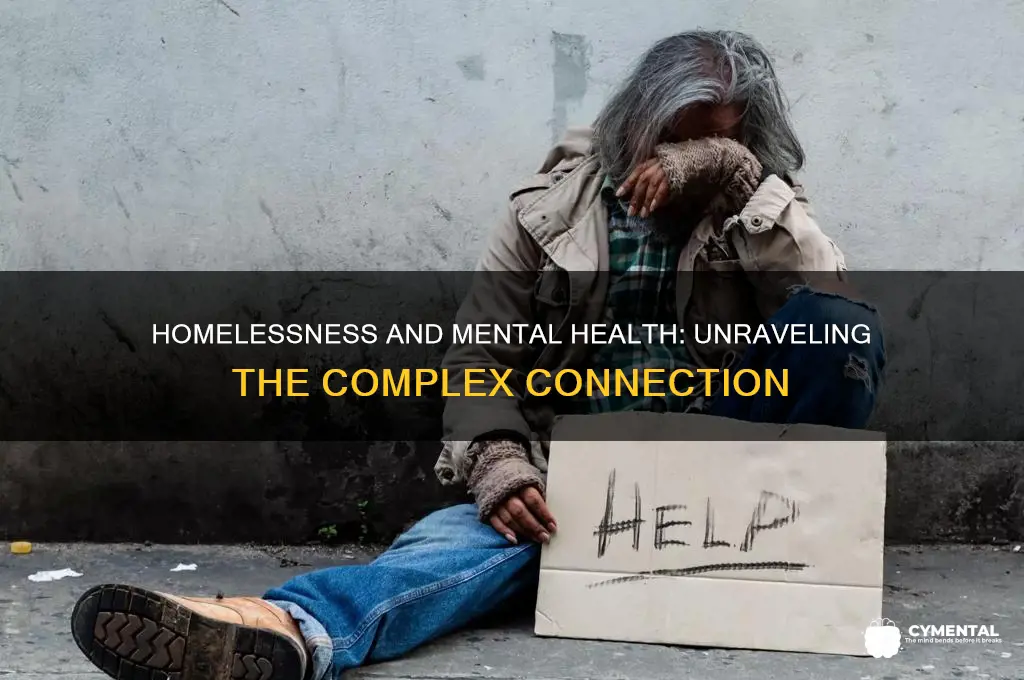 is homelessness a mental health issue