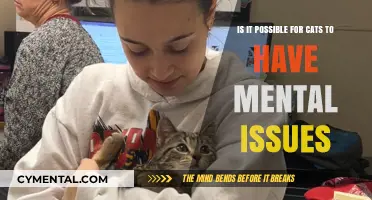 Can Cats Experience Mental Health Issues? Exploring Feline Psychology