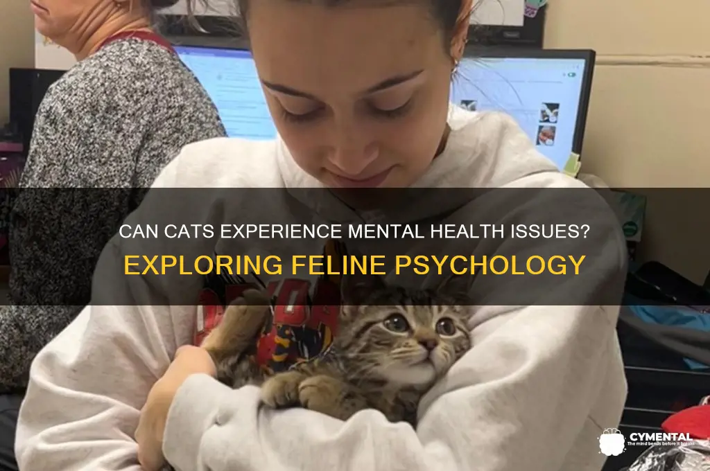 is it possible for cats to have mental issues