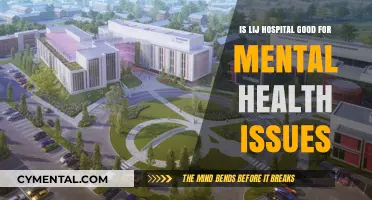 Is LIJ Hospital Effective for Mental Health Treatment?