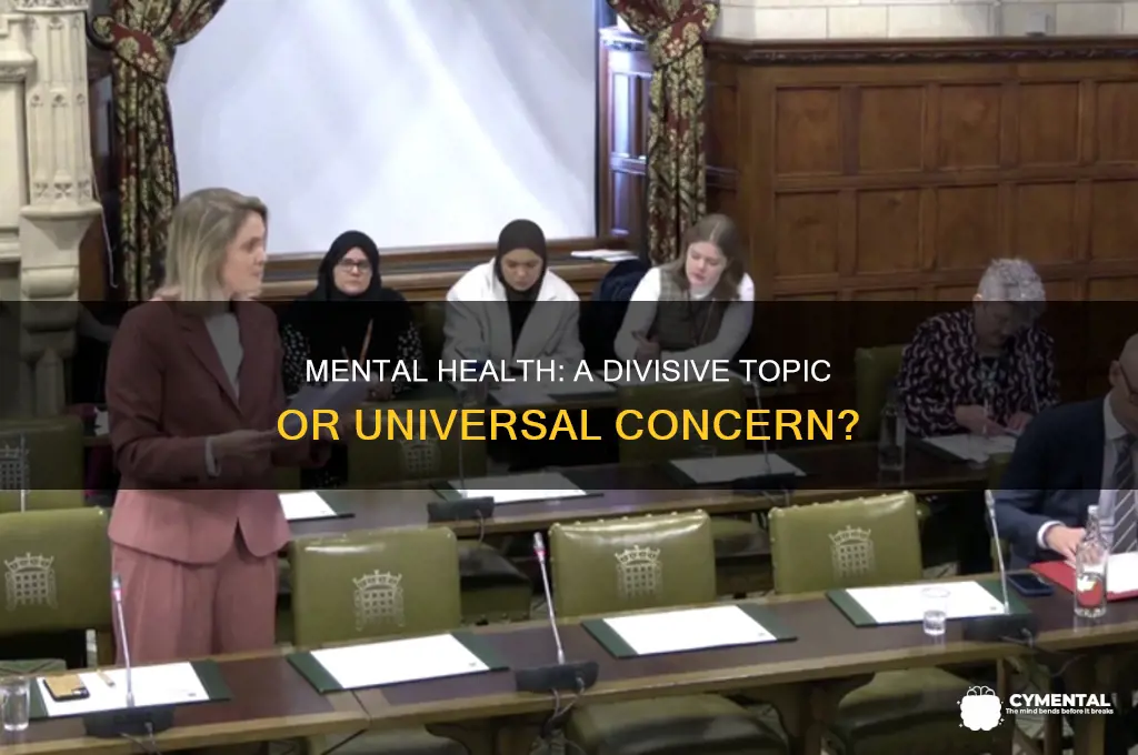 is mental health a controversial issue