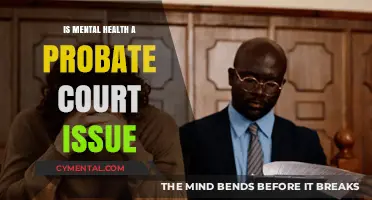 Mental Health and Probate Court: Understanding the Legal Intersection