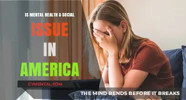 Mental Health in America: A Growing Social Crisis Explored