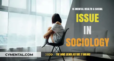 Mental Health as a Social Issue: A Sociological Perspective