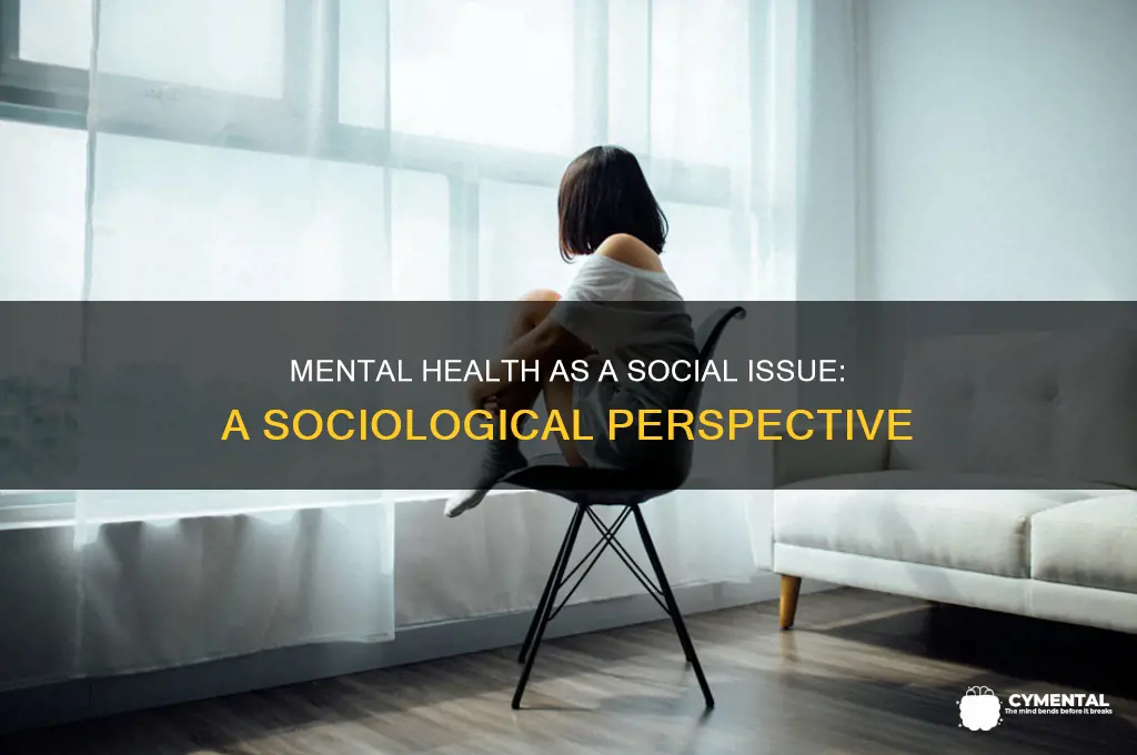 is mental health a social issue in sociology