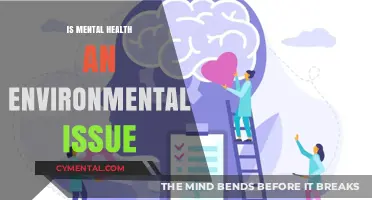 Mental Health and the Environment: Unraveling the Hidden Ecological Connection