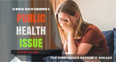 Mental Health Crisis: Why It's a Public Health Priority Now