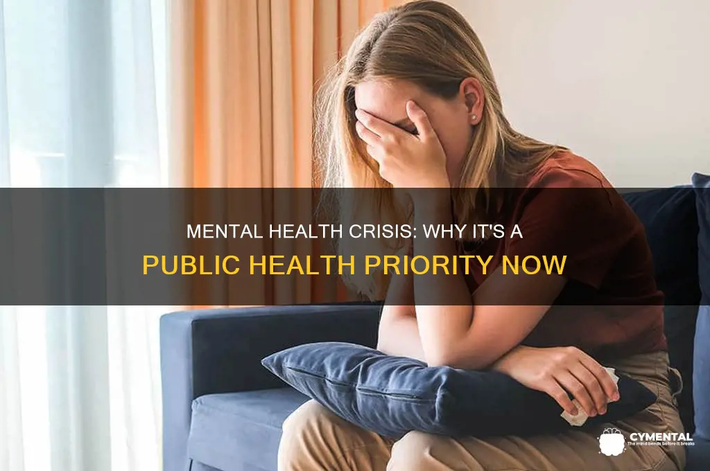 is mental health considered a public health issue