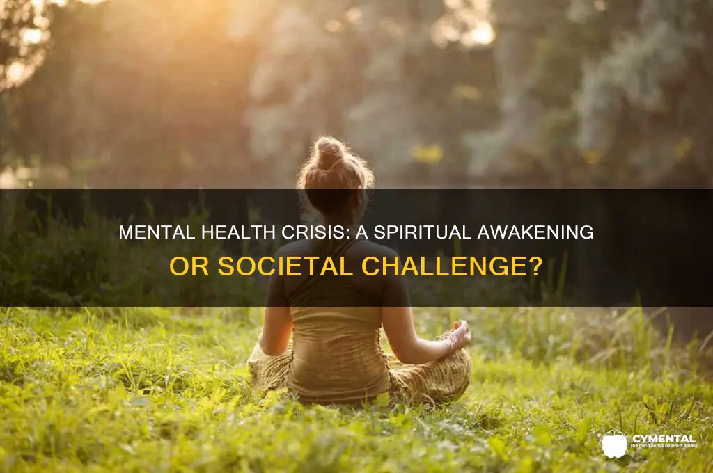 is mental health crisis a spiritual issue