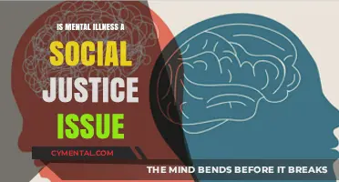 Mental Illness and Social Justice: Addressing Inequality in Healthcare Access