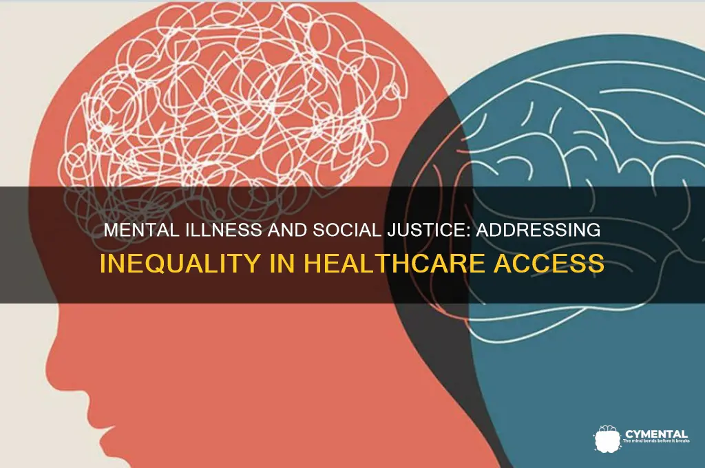 is mental illness a social justice issue