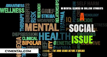 Mental Health Crisis: A Social Issue for College Students?
