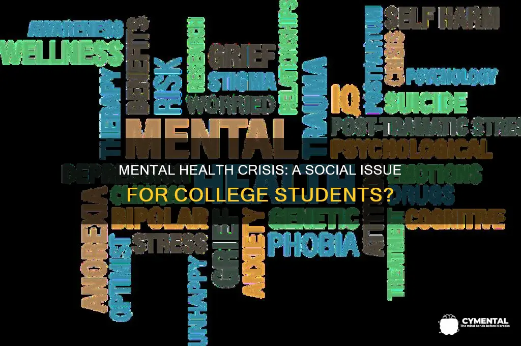 is mental illness in college students a social issue