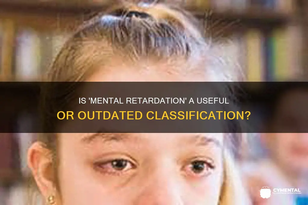is mental retardation a helpful category