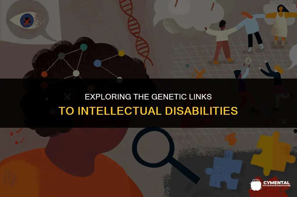 is mental retardation genetic