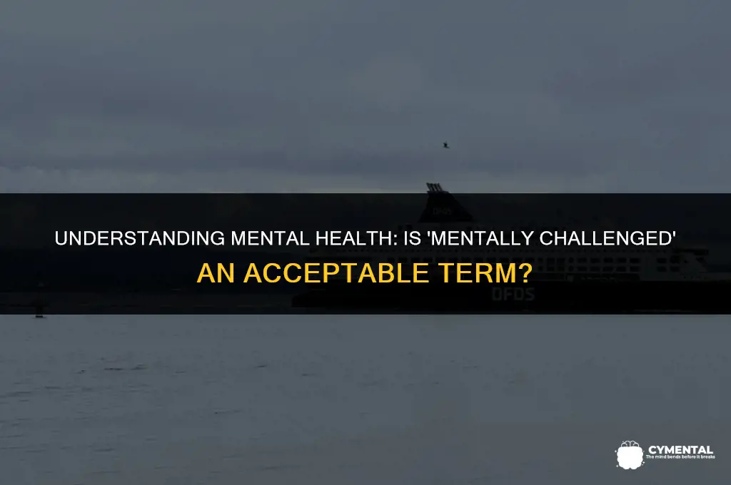is mentally challenged okay to say