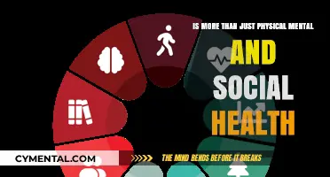 Holistic Well-being: Beyond Physical, Mental, and Social Health