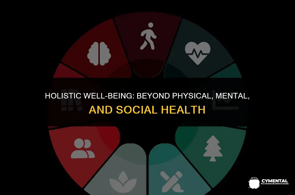 is more than just physical mental and social health