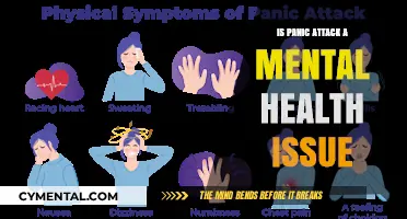 Understanding Panic Attacks: A Critical Mental Health Concern
