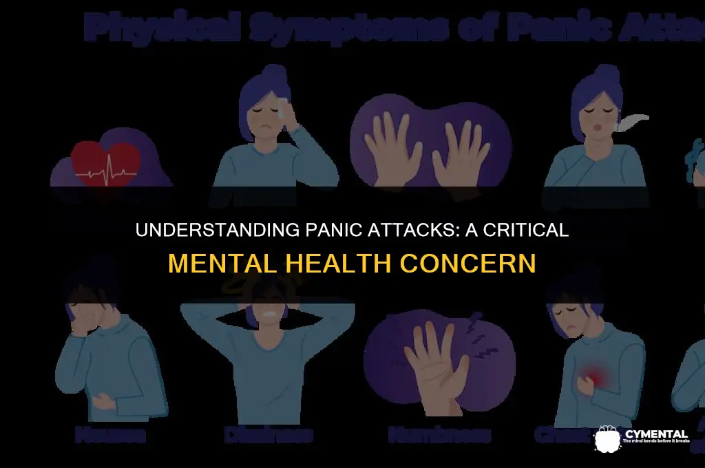 is panic attack a mental health issue