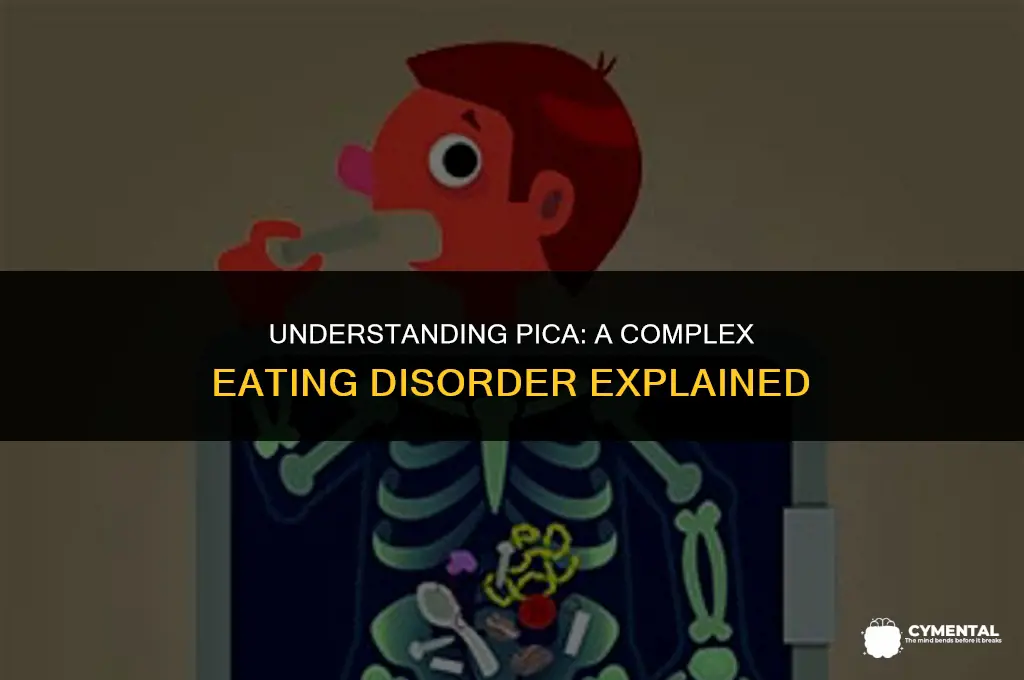 is pica a mental disorder