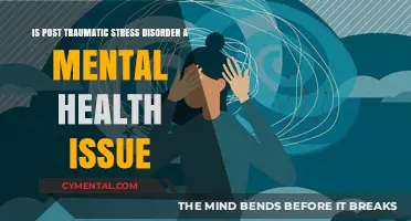 Understanding PTSD: Is Post-Traumatic Stress Disorder a Mental Health Issue?