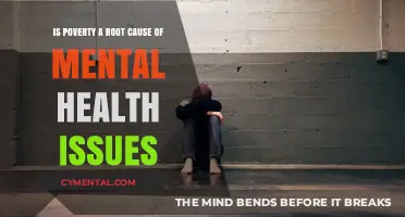 Unraveling the Complex Link: Poverty and Mental Health