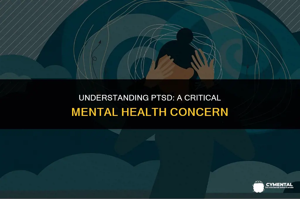 is ptsd a mental health issue